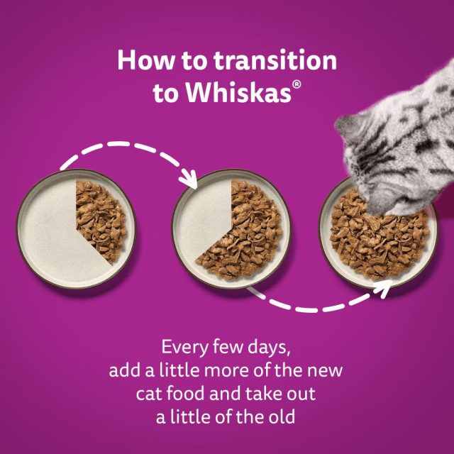 WHISKAS® Duo Surf & Turf in Jelly 1+ Adult (85g) - Image 6