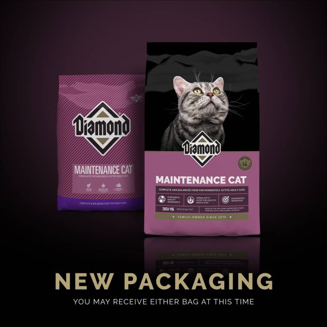 Diamond Maintenance Cat Food - Image 4