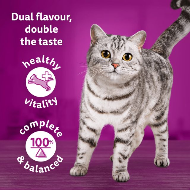 WHISKAS® Duo Surf & Turf in Jelly 1+ Adult (85g) - Image 4