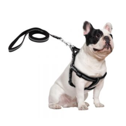 Puppy Harness Reflector