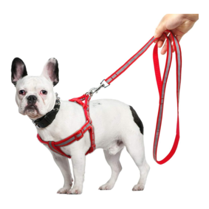Reflective Dog Harness Leash Set For Small Medium Dogs