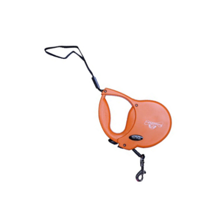 Retractable Leash