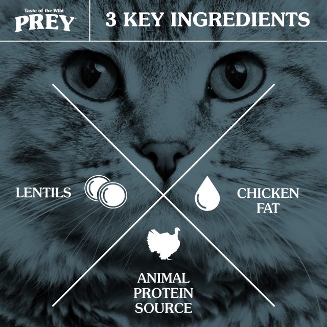 Taste Of The Wild - Prey | Turkey Formula For Cats - Image 5